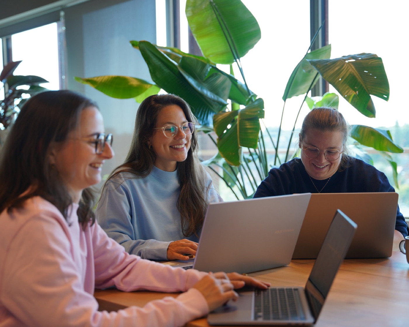 The team working together at the Hi Folks office